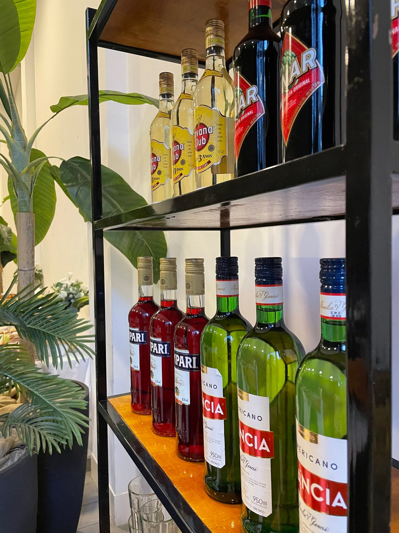 gin tonic de frutos rojos